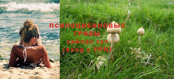 шишки Балахна