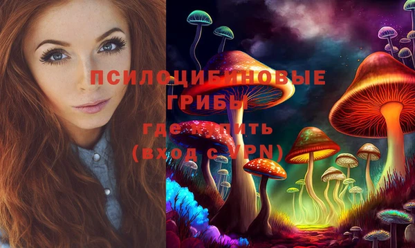 шишки Балахна