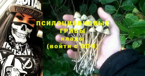 ALPHA PVP Белокуриха