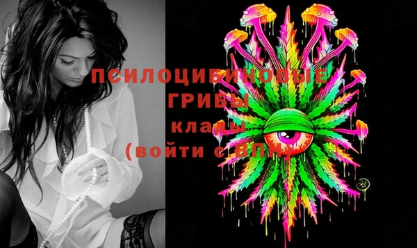 шишки Балахна
