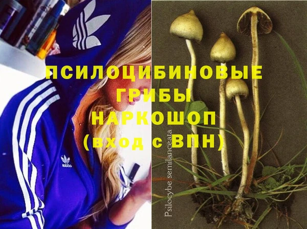 шишки Балахна