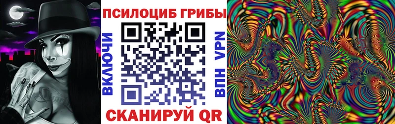 Псилоцибиновые грибы Cubensis  Славгород 